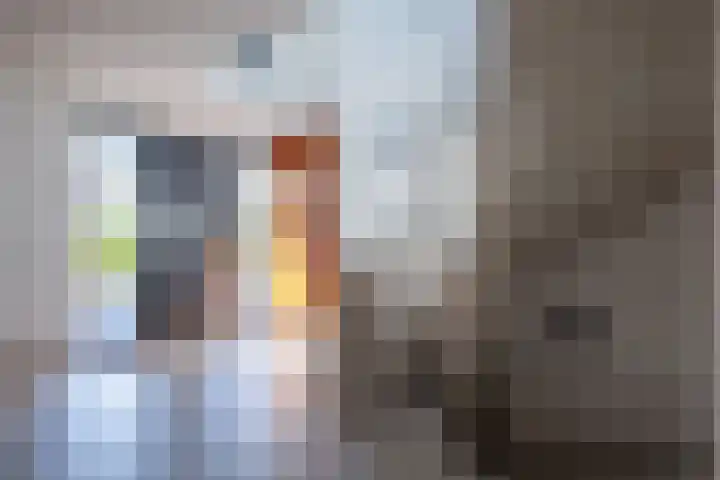 Schansweg 7 Den Burg thumbnail 14