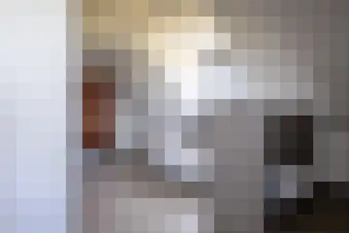 Schansweg 7 Den Burg thumbnail 19