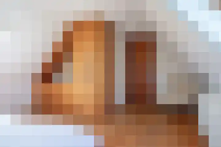 Schansweg 7 Den Burg thumbnail 26