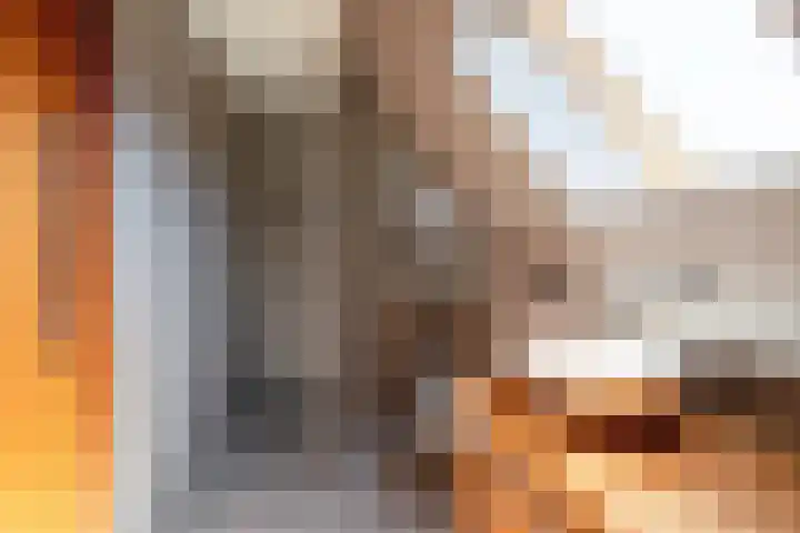 Schansweg 7 Den Burg thumbnail 28