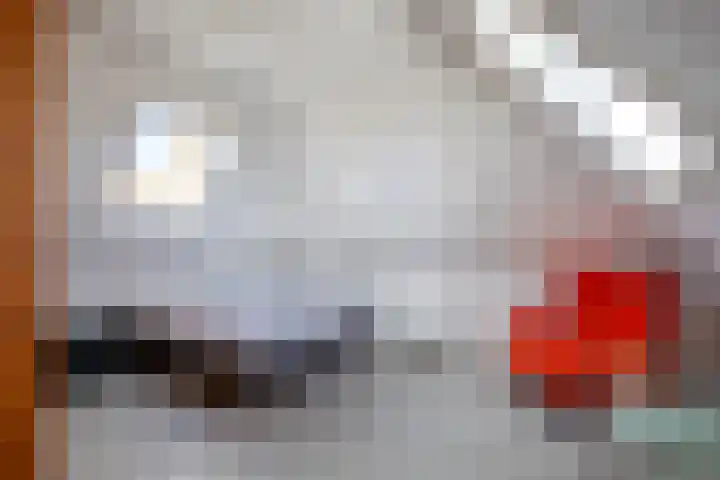 Schansweg 7 Den Burg thumbnail 29
