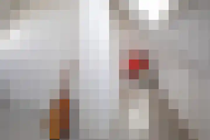 Schansweg 7 Den Burg thumbnail 30