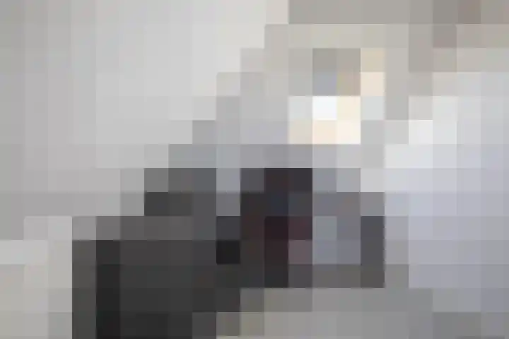 Schansweg 7 Den Burg thumbnail 31