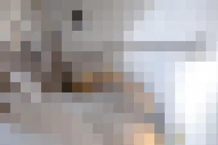 Schansweg 7 Den Burg thumbnail 32