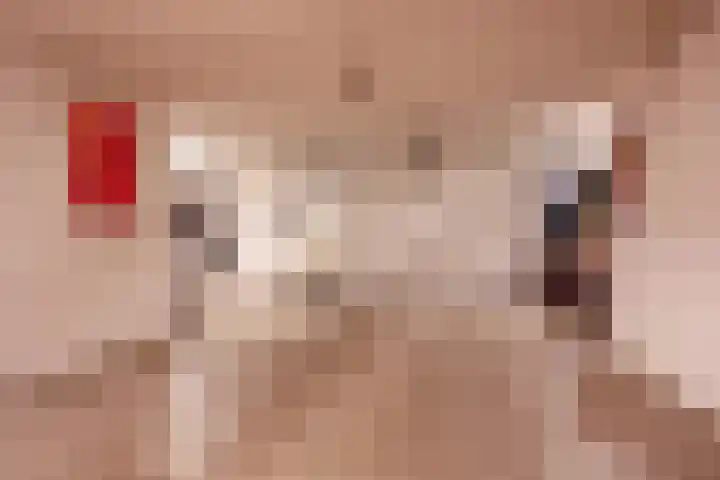 Schansweg 7 Den Burg thumbnail 35