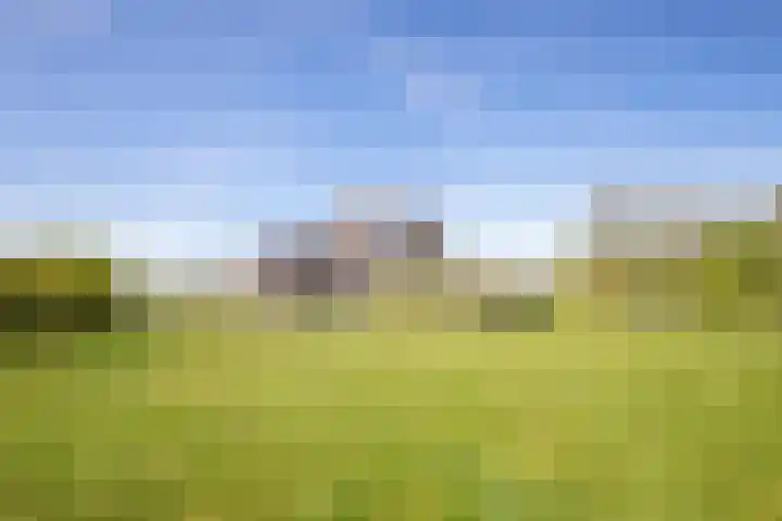 Schansweg 7 Den Burg thumbnail 41