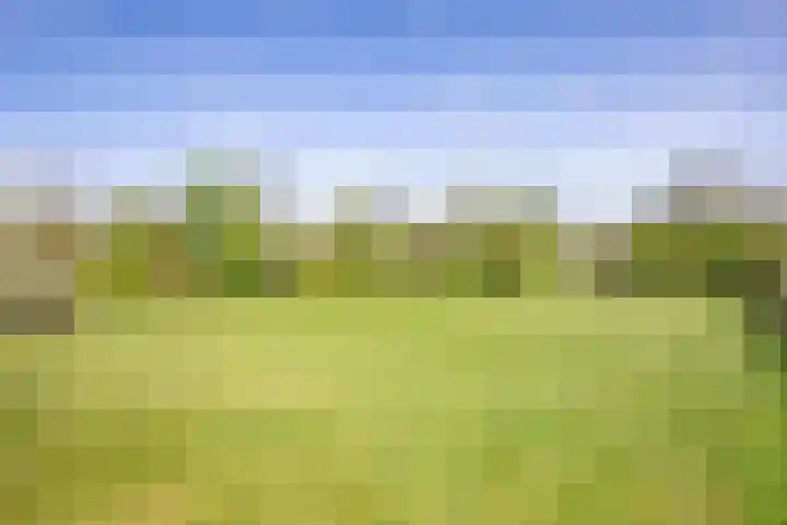 Schansweg 7 Den Burg thumbnail 42