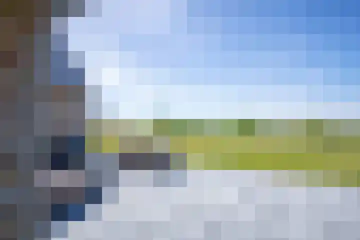 Schansweg 7 Den Burg thumbnail 43