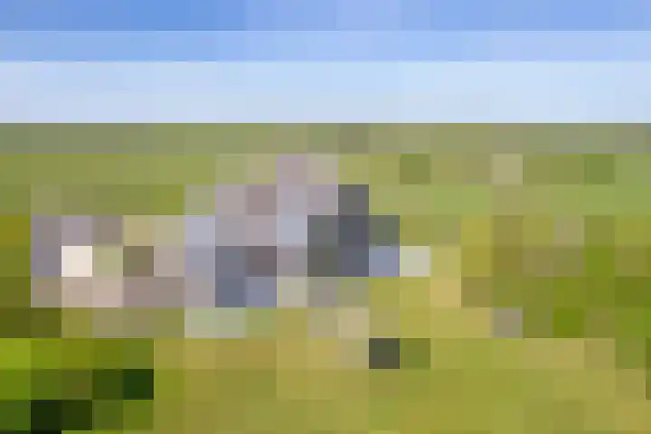 Schansweg 7 Den Burg thumbnail 45