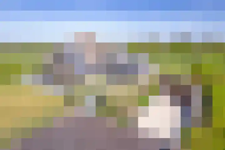 Schansweg 7 Den Burg thumbnail 46