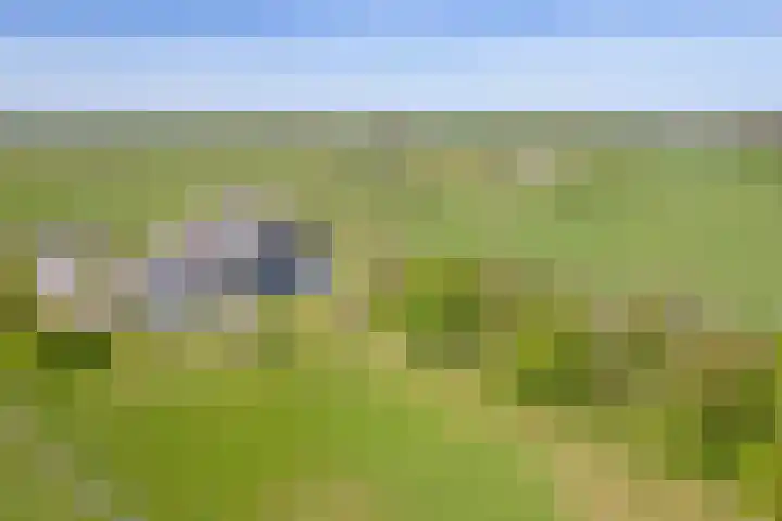 Schansweg 7 Den Burg thumbnail 47