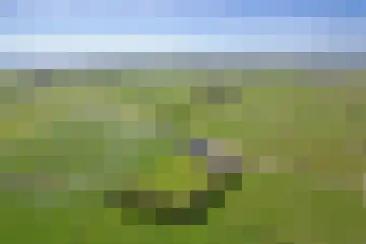 Schansweg 7 Den Burg thumbnail 48