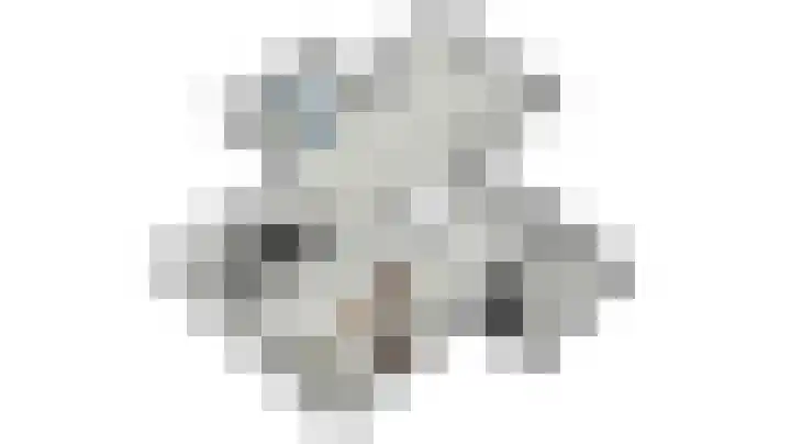 Schansweg 7 Den Burg thumbnail 53