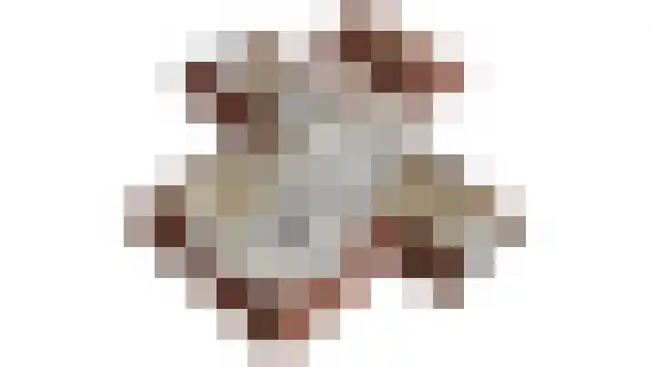Schansweg 7 Den Burg thumbnail 55