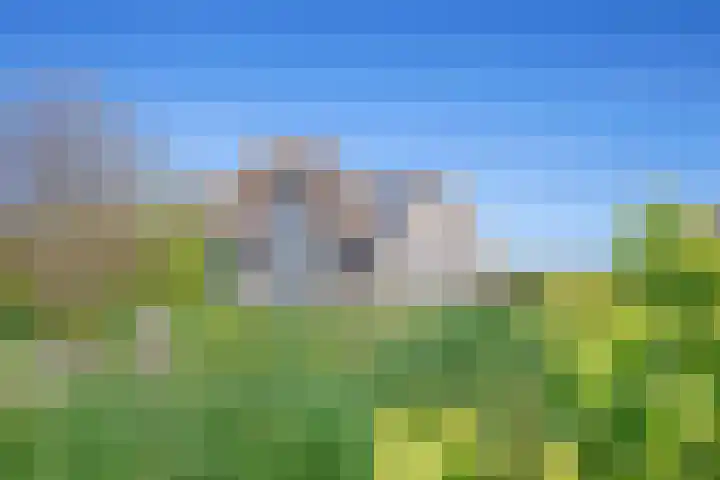 Schansweg 7 Den Burg thumbnail 57