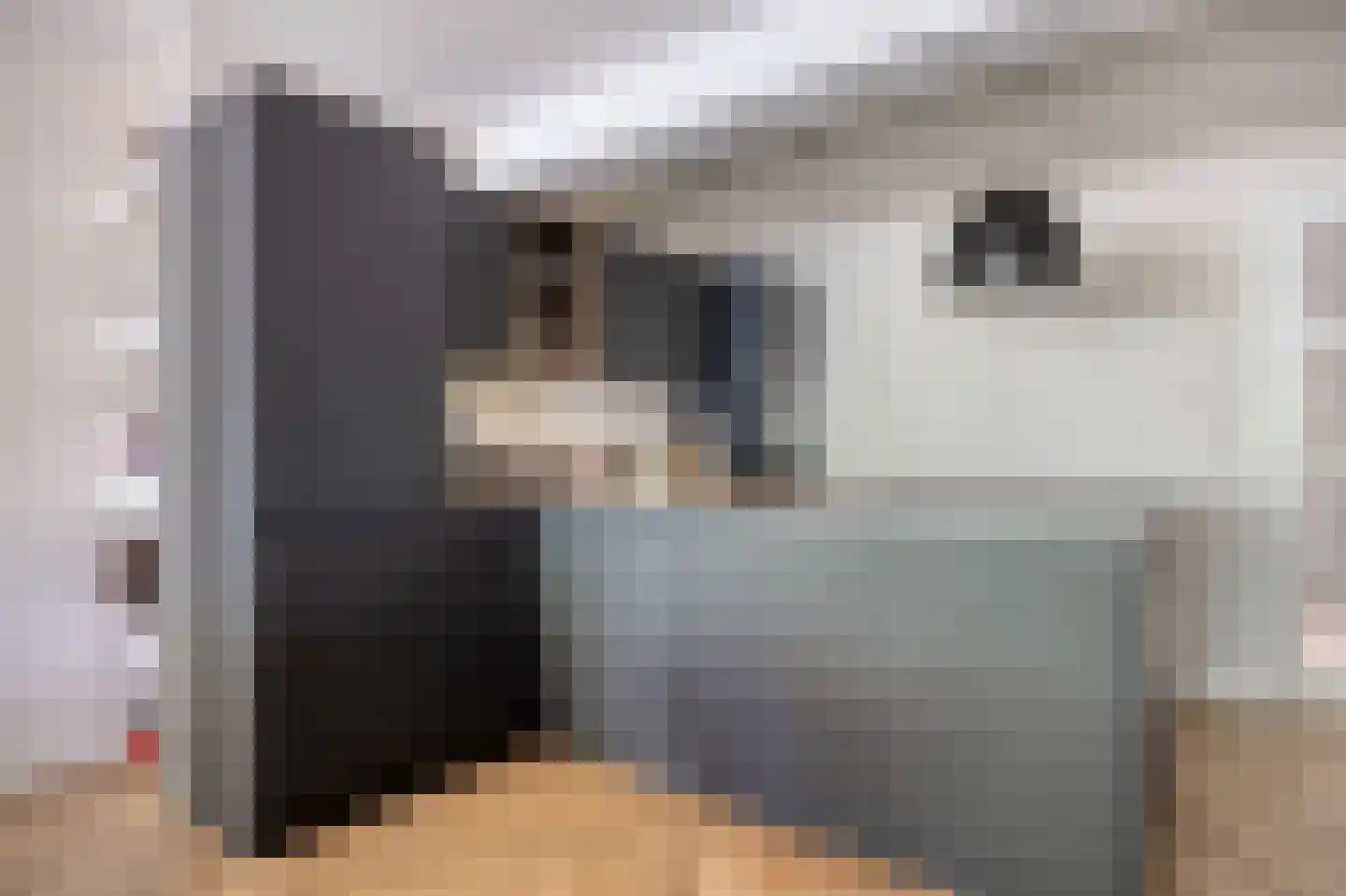 Schanswetering 16 's-Hertogenbosch thumbnail 13