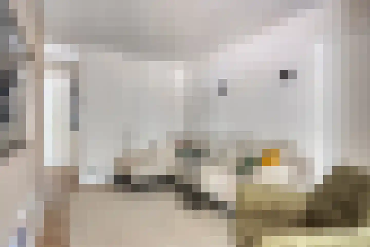 Schanswetering 16 's-Hertogenbosch thumbnail 7