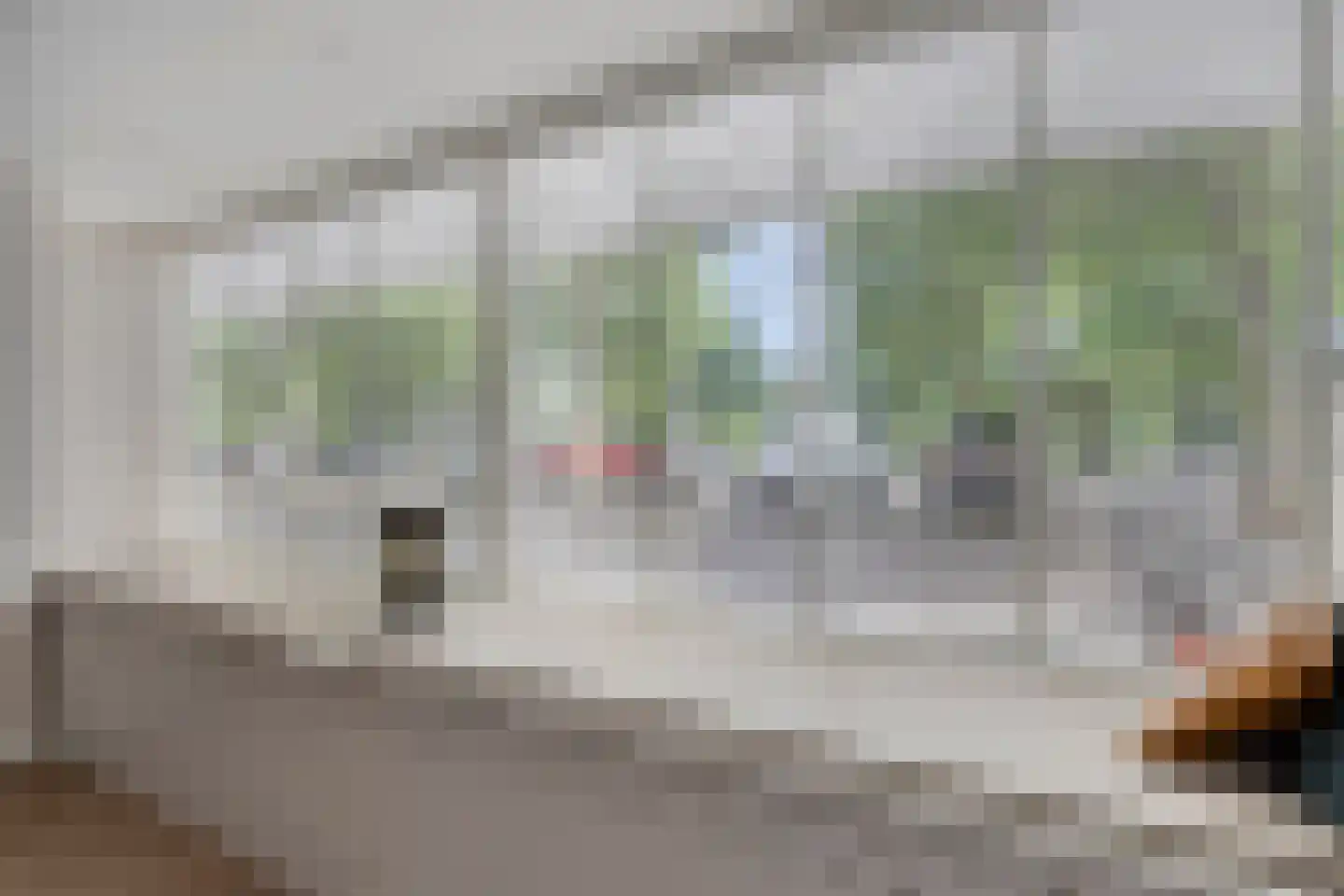 Schanswetering 16 's-Hertogenbosch thumbnail 9