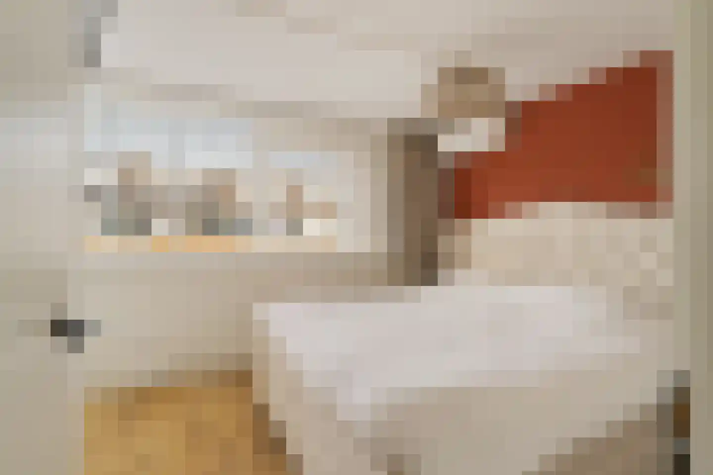 Schapedel 17 Noordwijk thumbnail 18