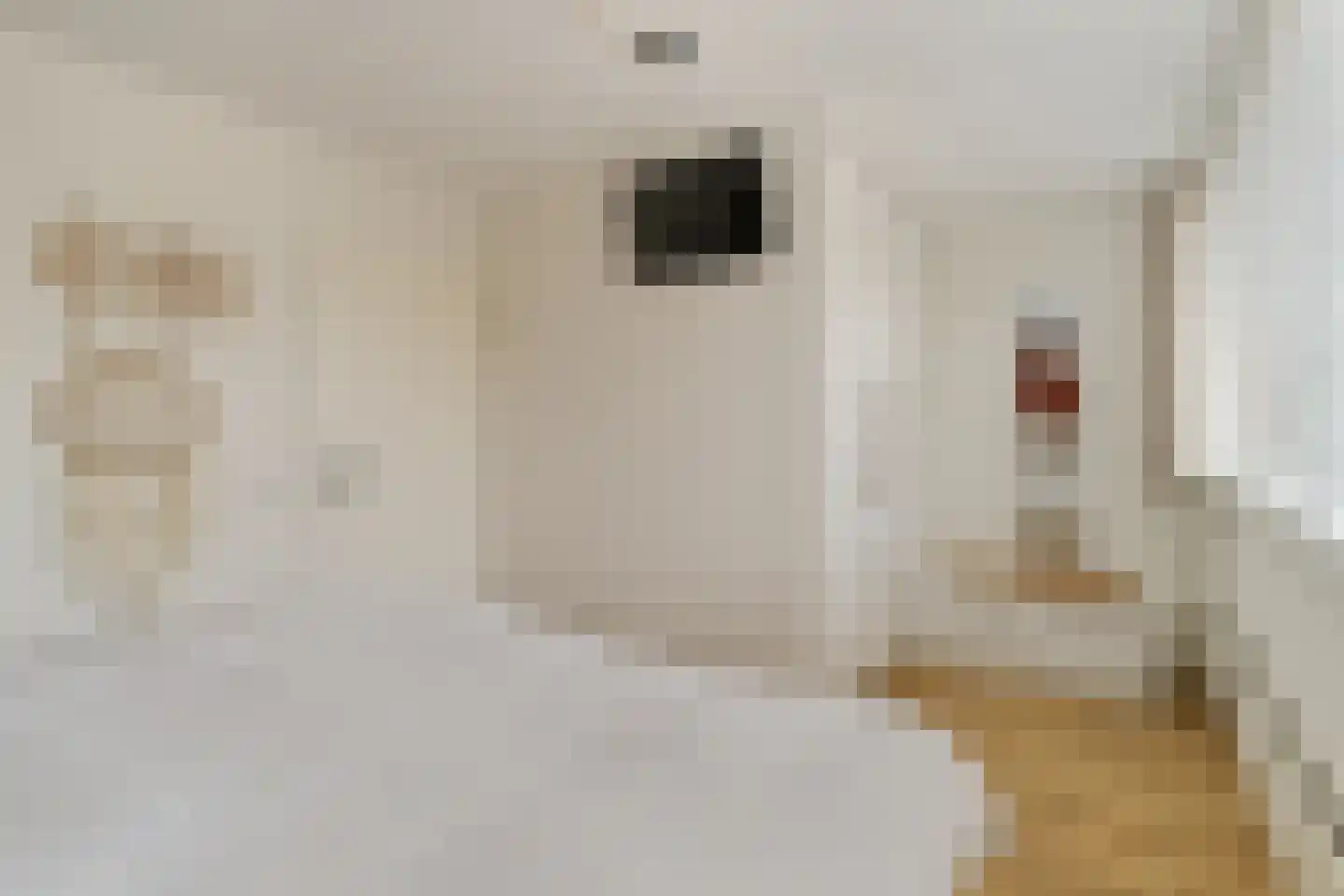 Schapedel 17 Noordwijk thumbnail 20