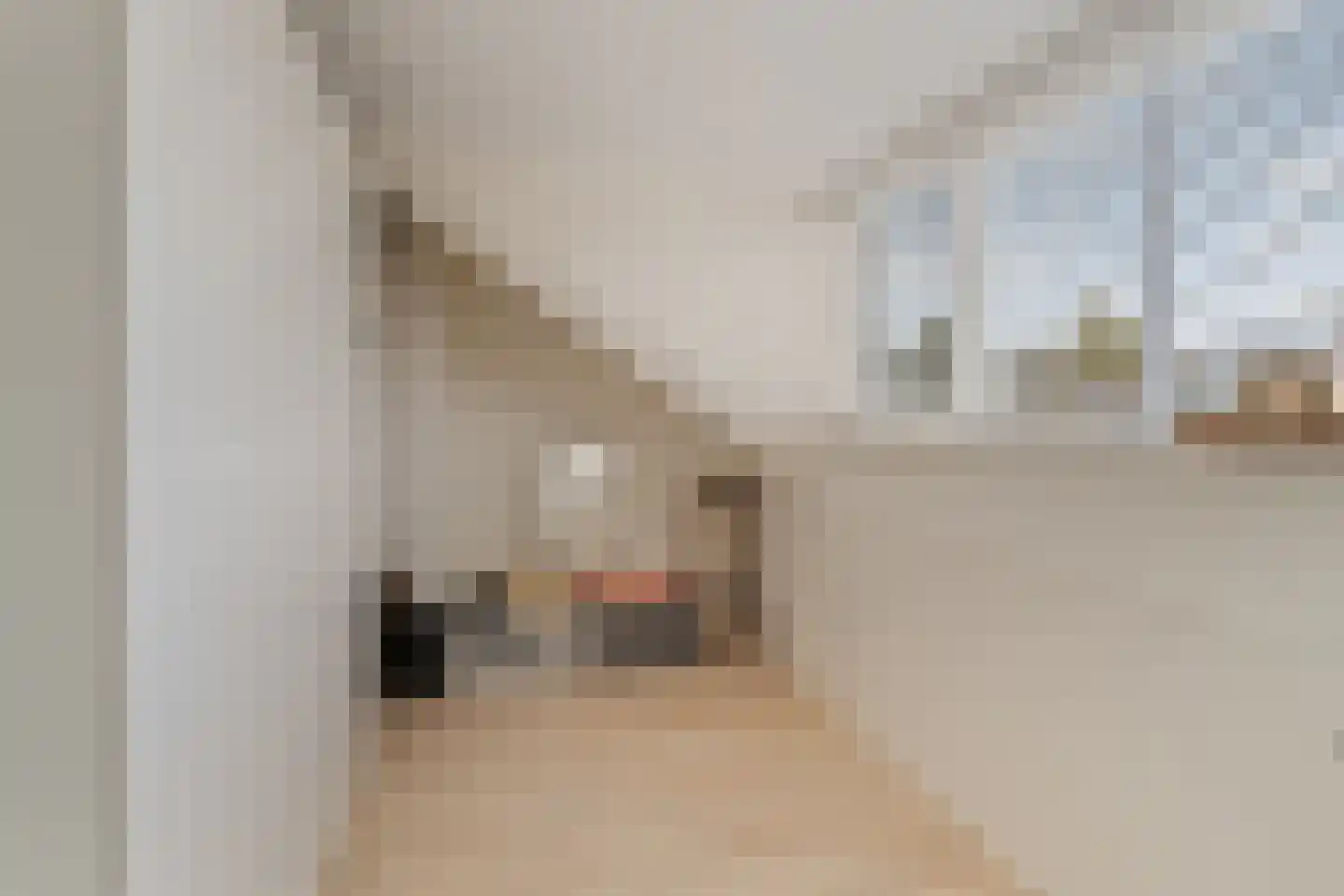 Schapedel 17 Noordwijk thumbnail 30