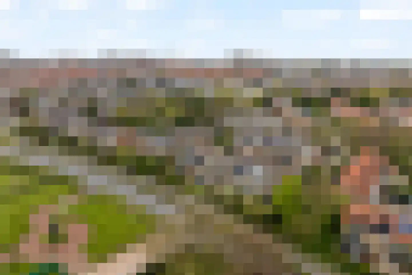 Schapedel 17 Noordwijk thumbnail 34