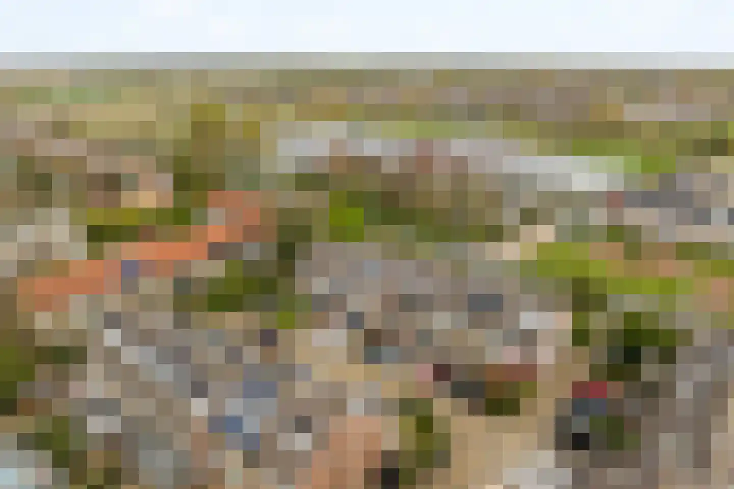 Schapedel 17 Noordwijk thumbnail 35