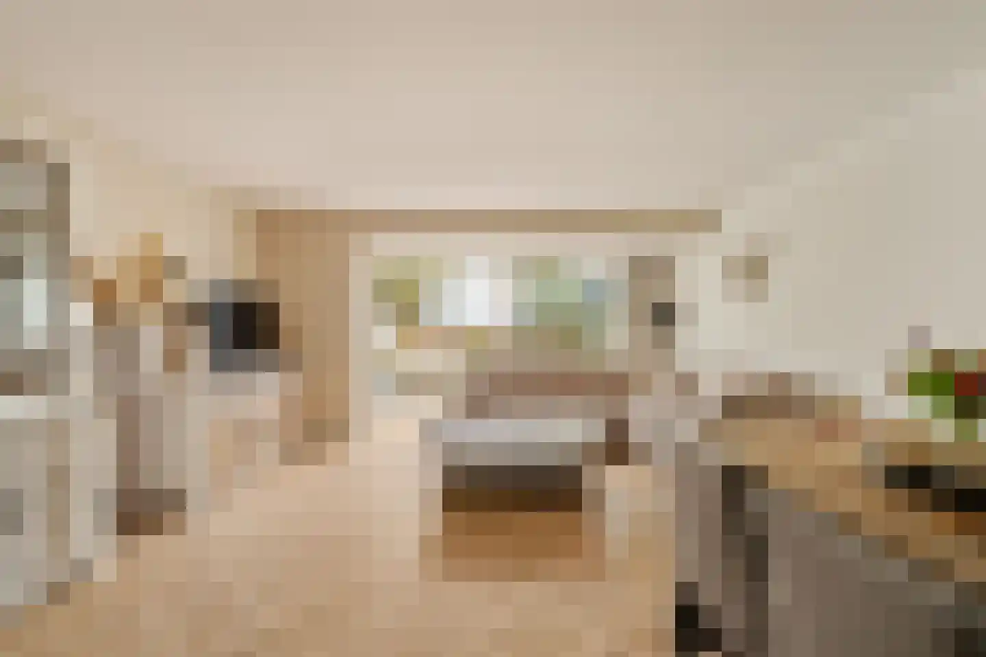 Schapedel 17 Noordwijk thumbnail 7