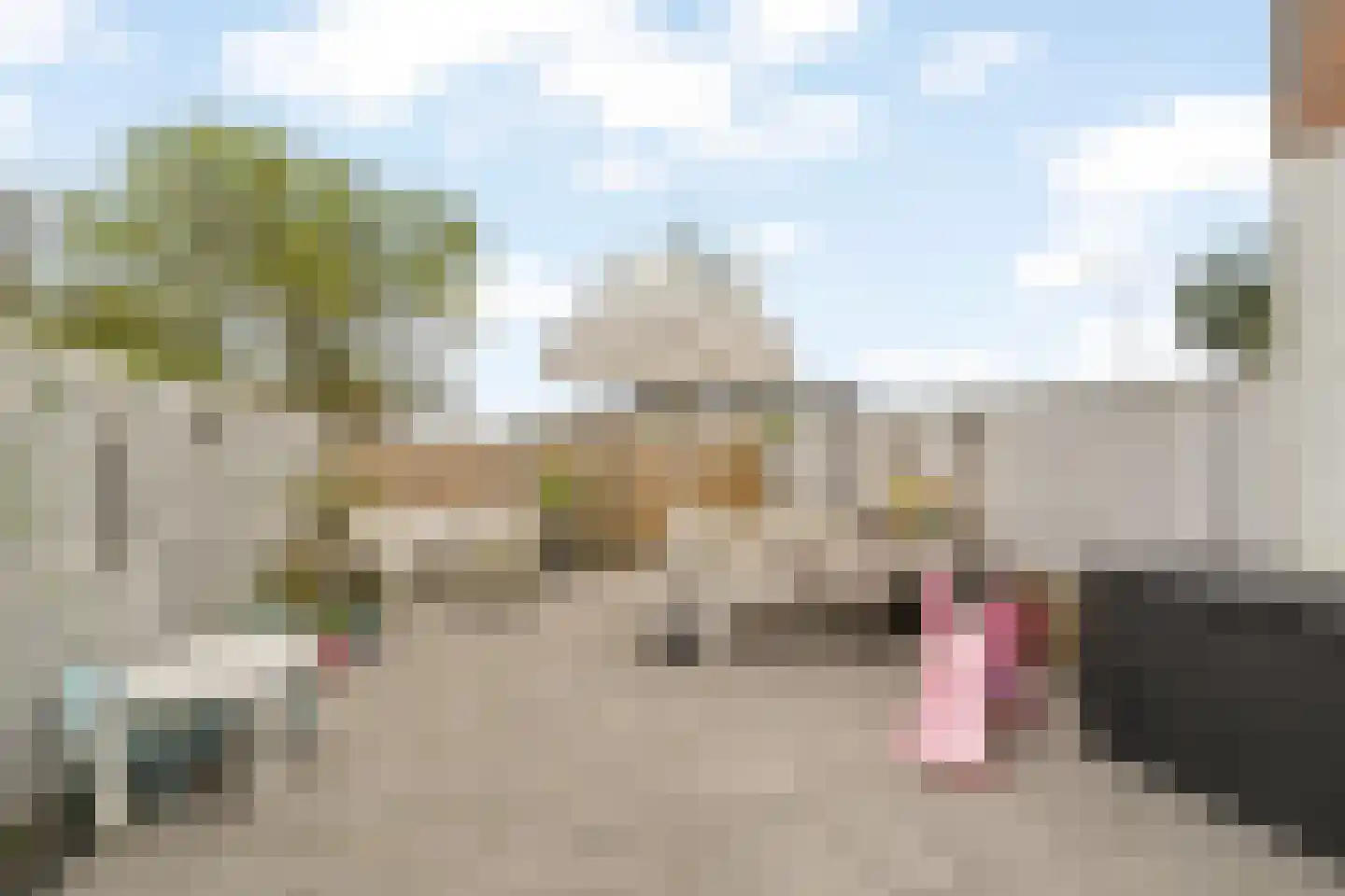Schapedel 17 Noordwijk thumbnail 9