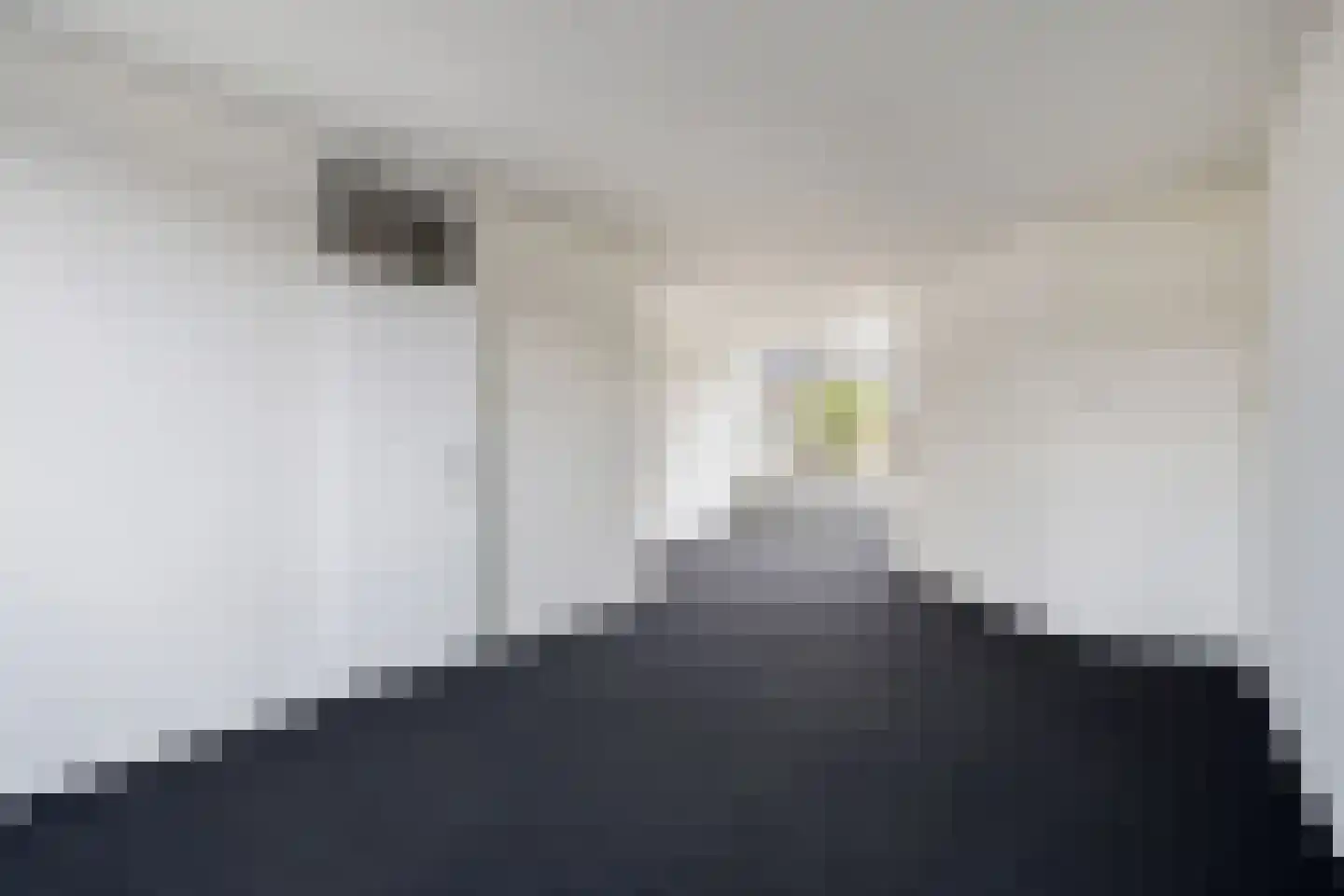 Schapedreef 40 Oss thumbnail 11