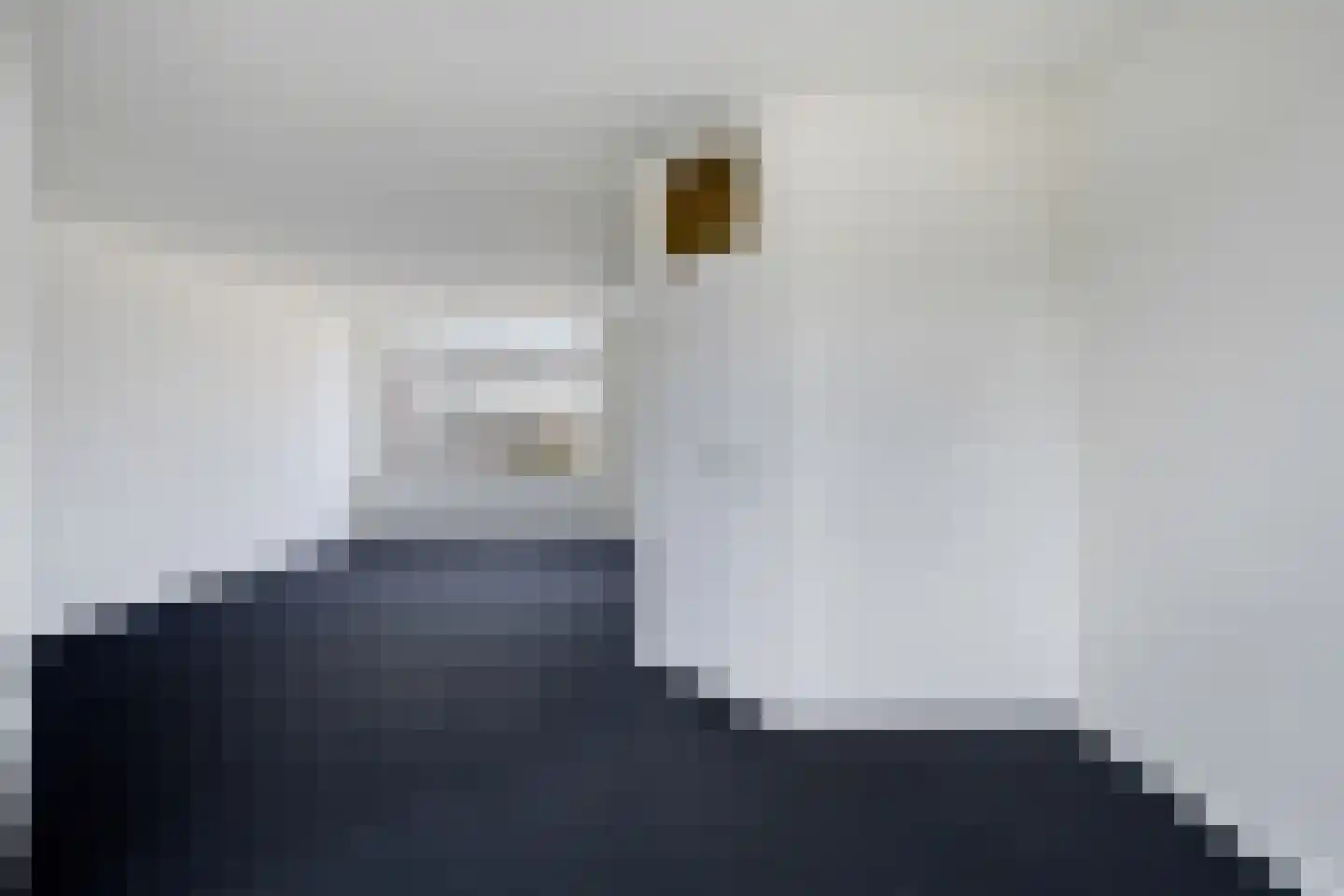 Schapedreef 40 Oss thumbnail 18