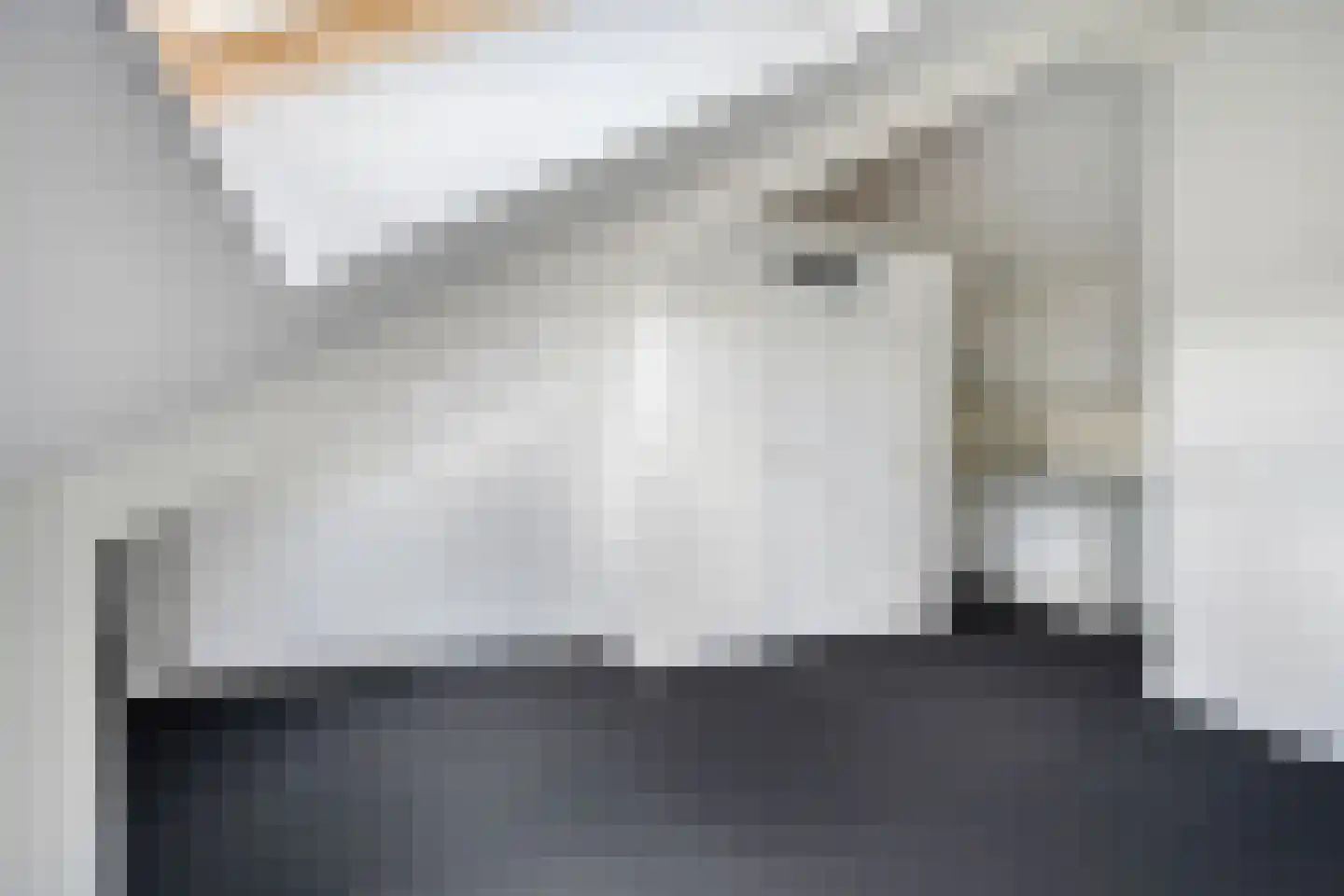 Schapedreef 40 Oss thumbnail 44