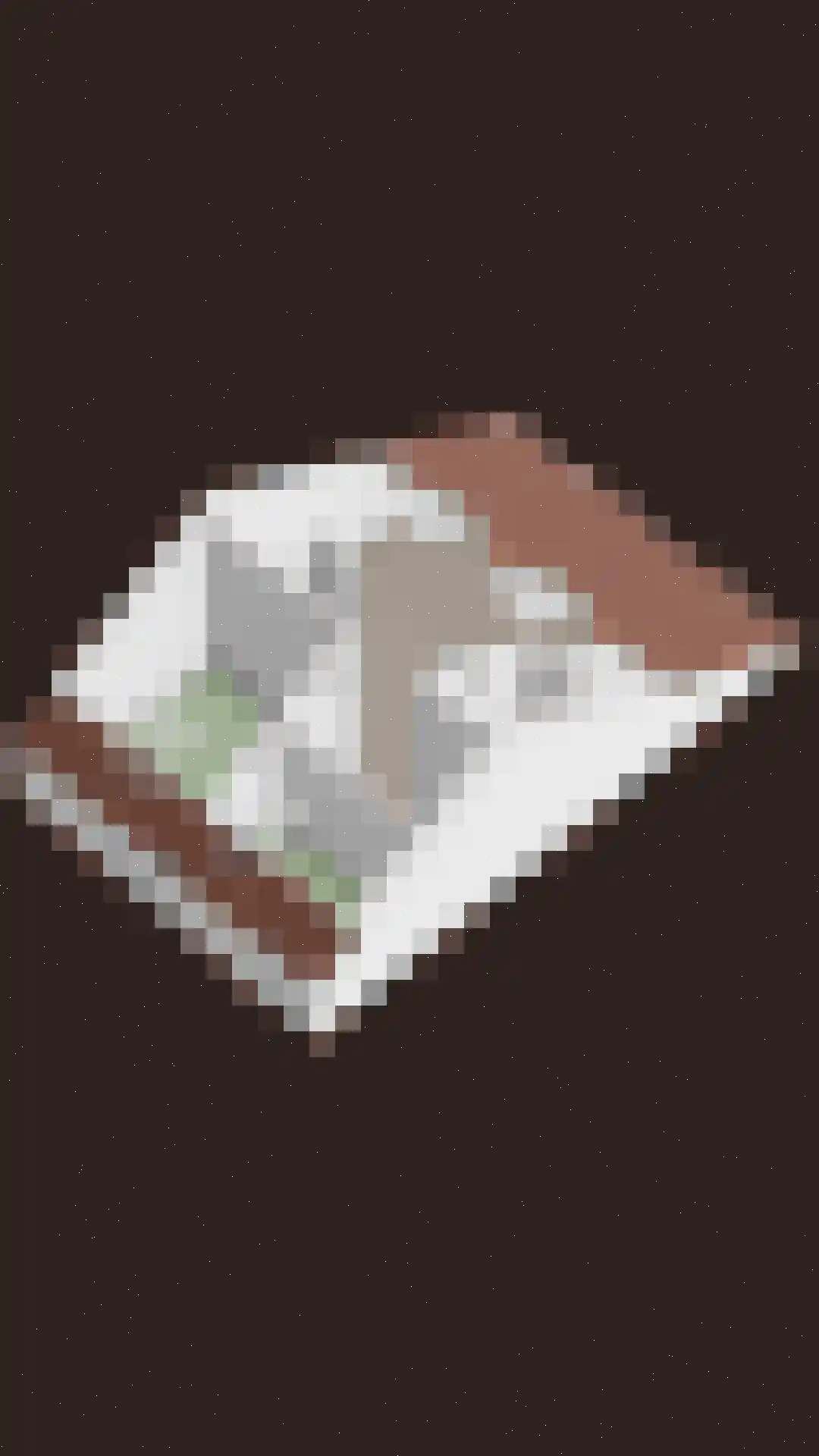 Schapedreef 40 Oss thumbnail 73
