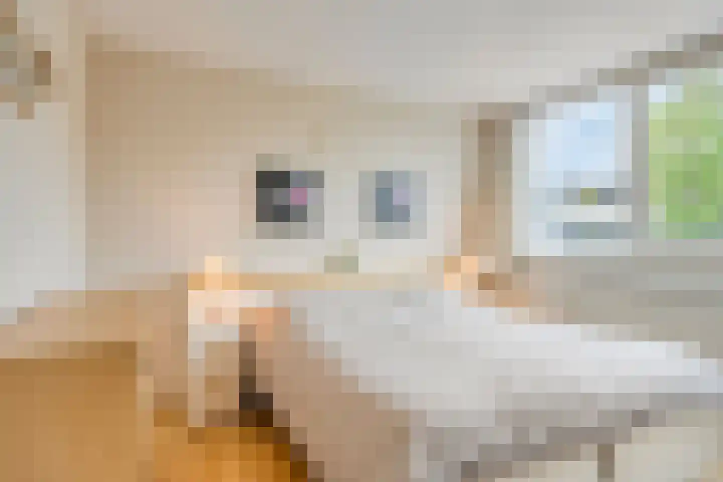 Schapedreef 8 Oss thumbnail 12