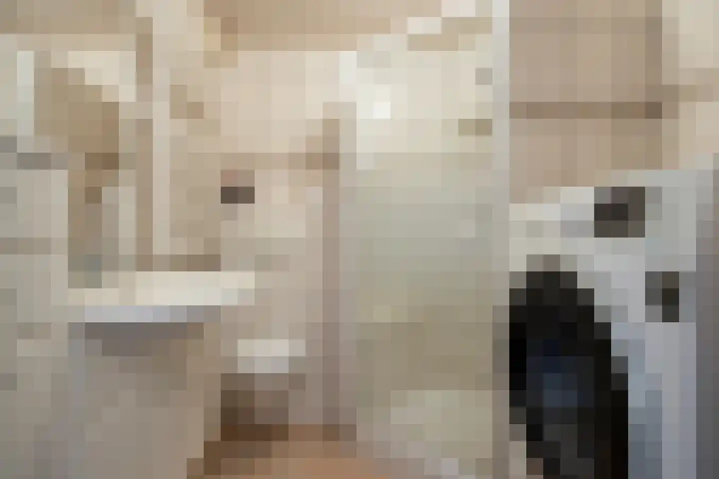 Schapedreef 8 Oss thumbnail 20