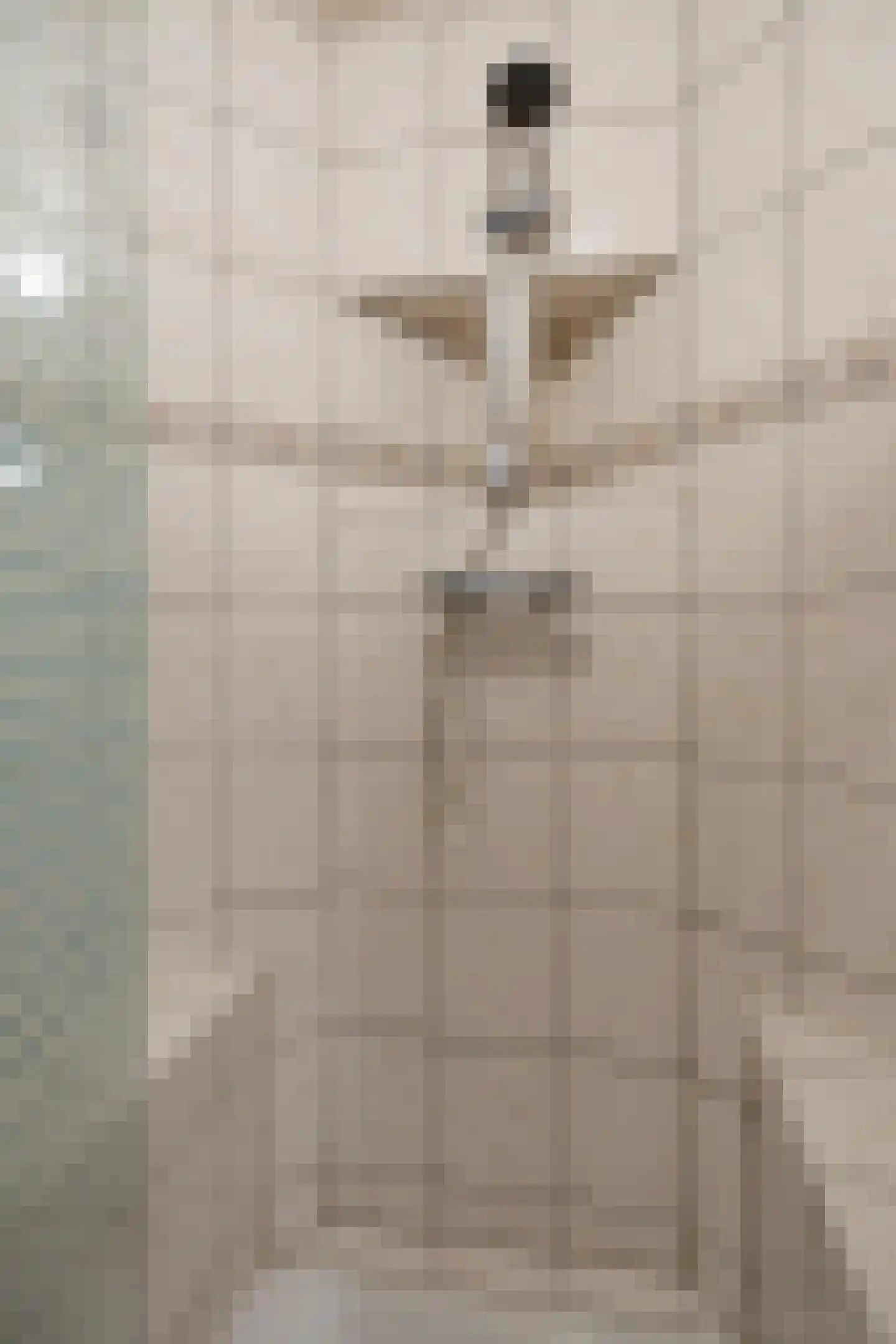 Schapedreef 8 Oss thumbnail 21