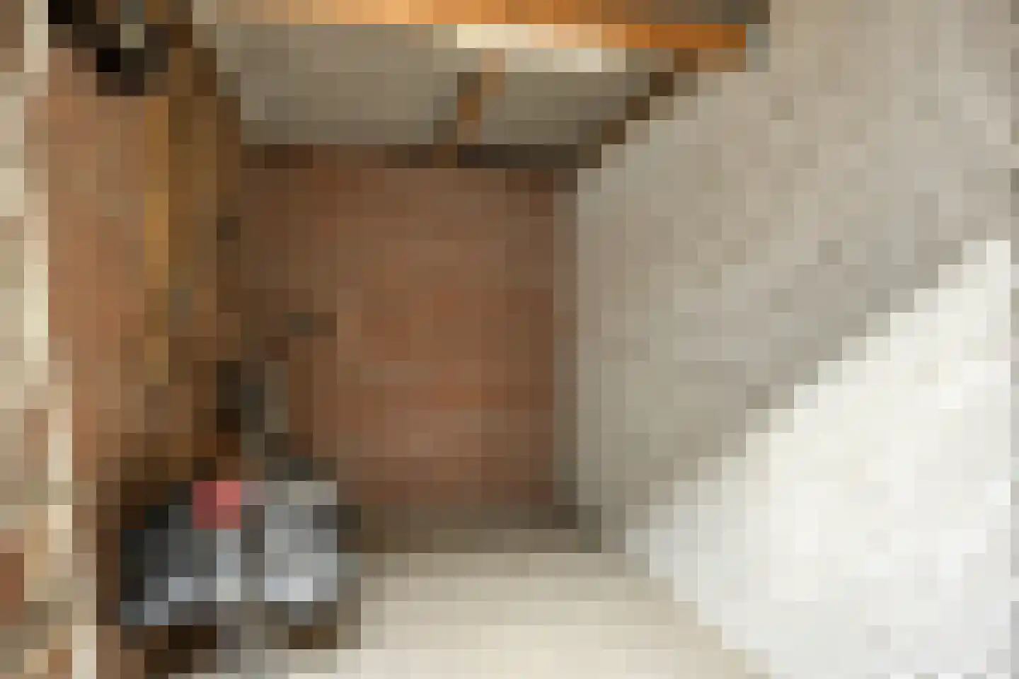 Schapedreef 8 Oss thumbnail 29