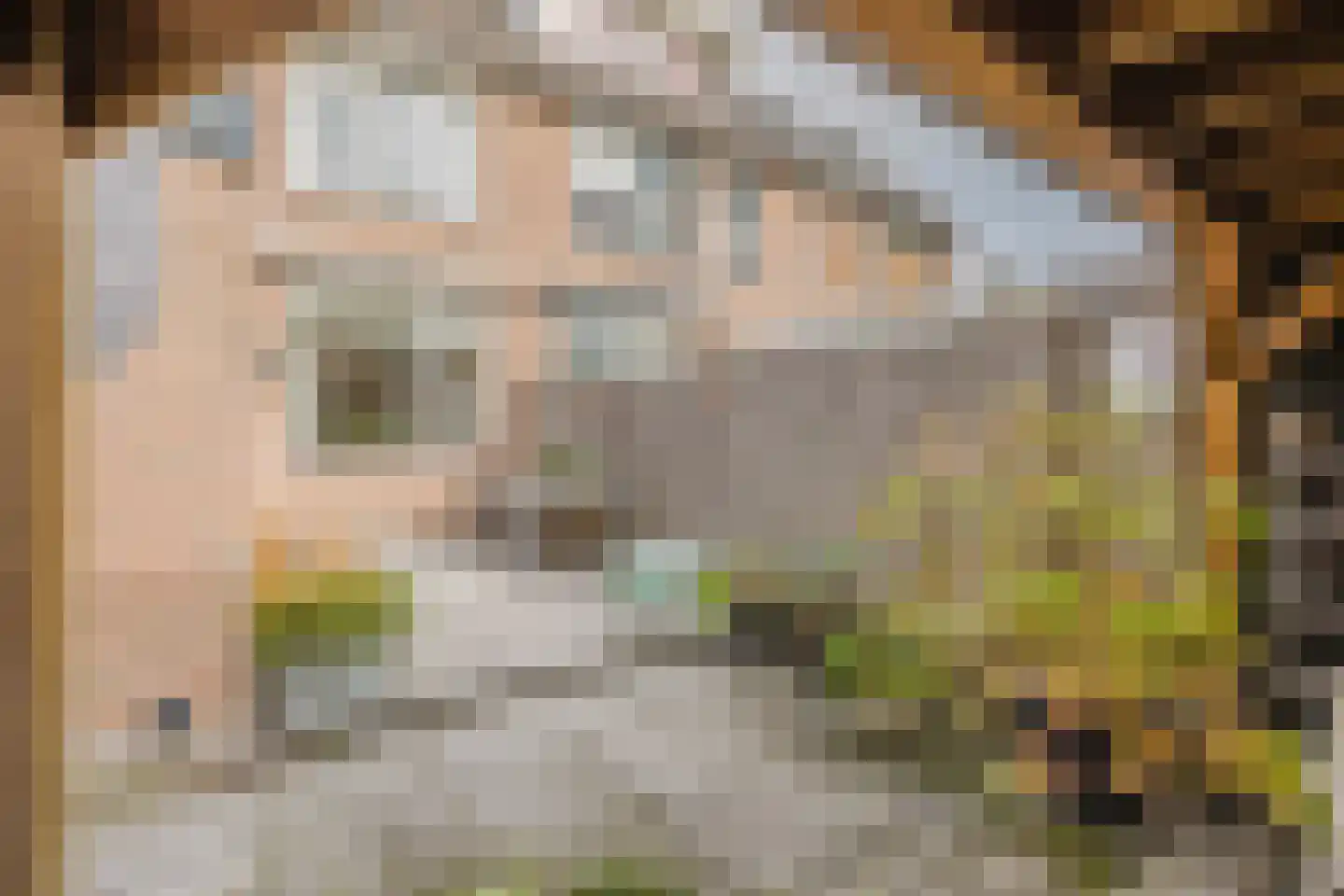 Schapedrift 12 Hardinxveld-Giessendam thumbnail 13