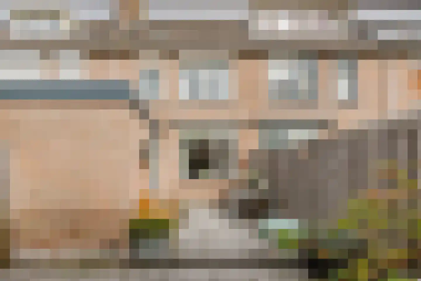 Schapedrift 12 Hardinxveld-Giessendam thumbnail 14