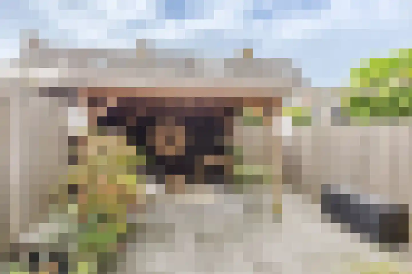 Schapedrift 12 Hardinxveld-Giessendam thumbnail 15