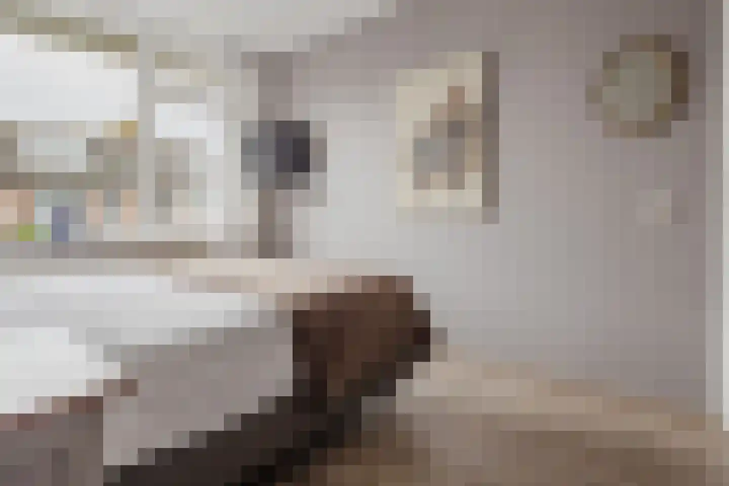Schapedrift 12 Hardinxveld-Giessendam thumbnail 19