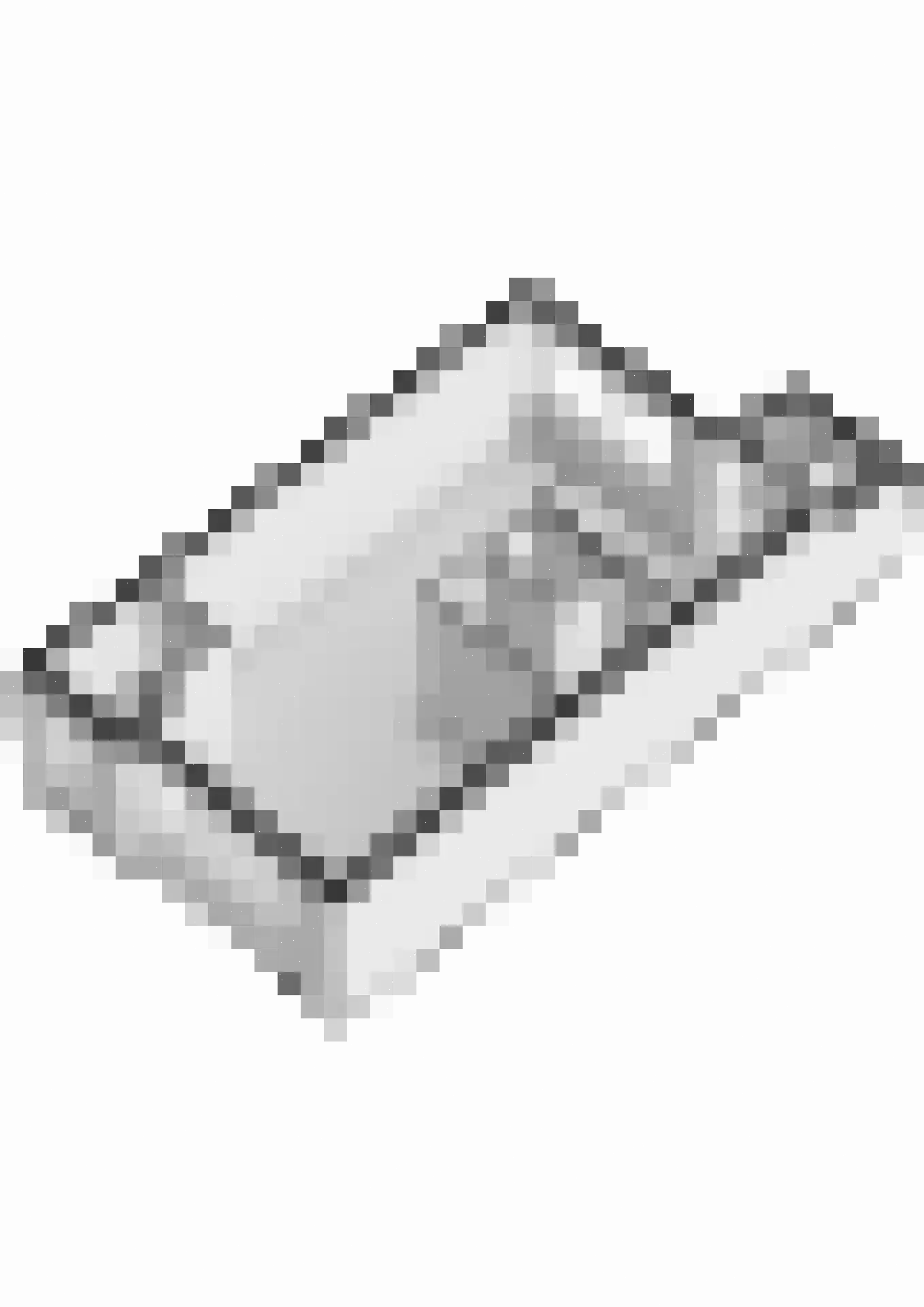 Schapedrift 12 Hardinxveld-Giessendam thumbnail 30