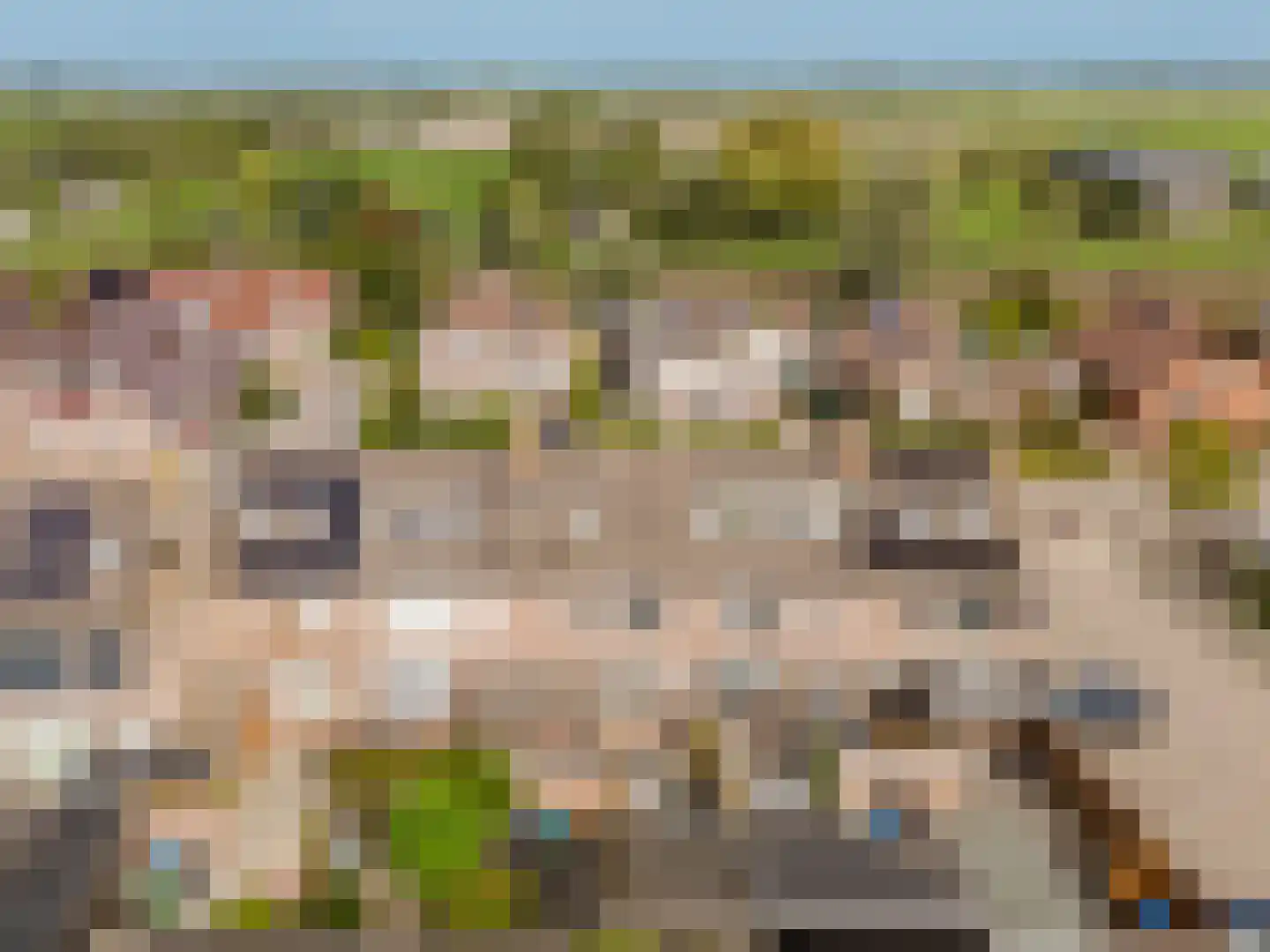Schapedrift 12 Hardinxveld-Giessendam thumbnail 5