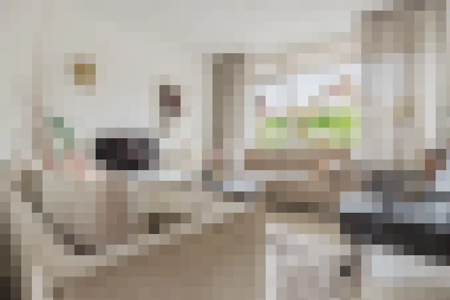 Schapedrift 12 Hardinxveld-Giessendam thumbnail 7