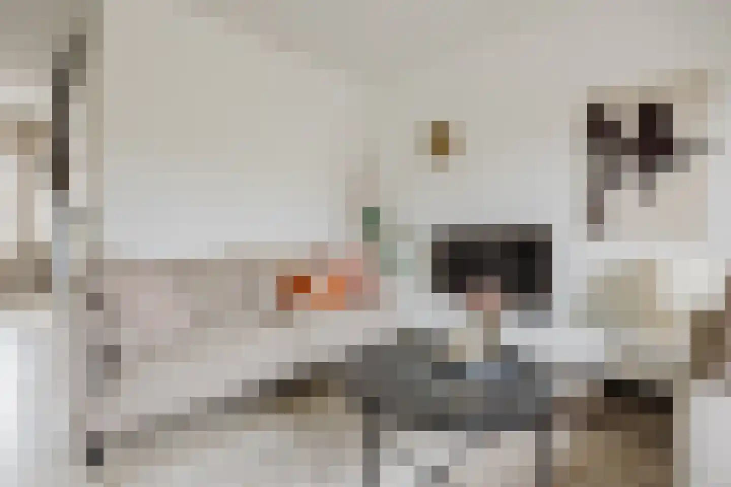 Schapedrift 12 Hardinxveld-Giessendam thumbnail 8