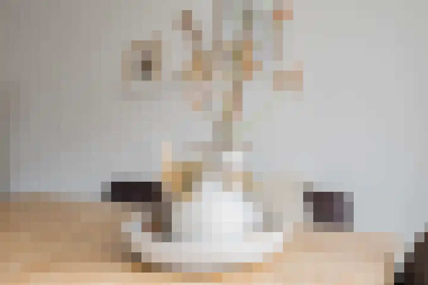 Schapedrift 12 Hardinxveld-Giessendam thumbnail 9
