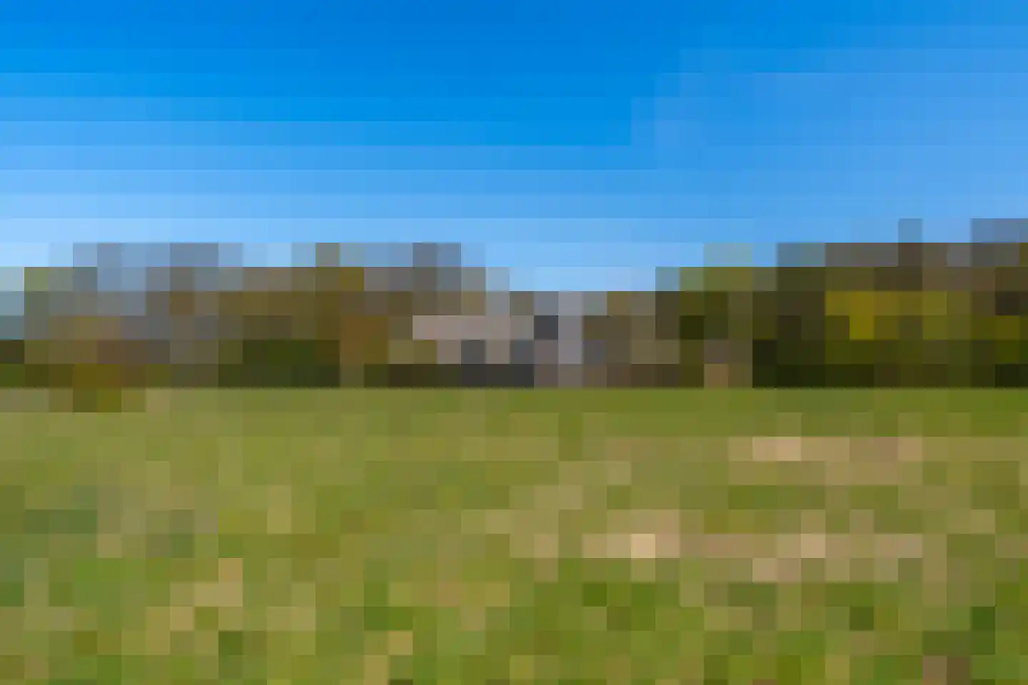 Schapedrift 2 in Zeegse