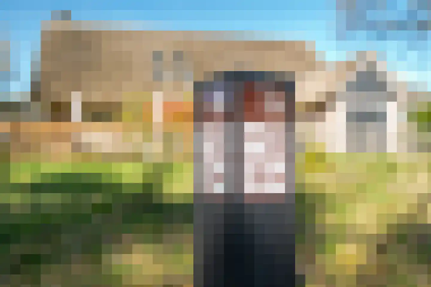 Schapedrift 2 Zeegse thumbnail 11