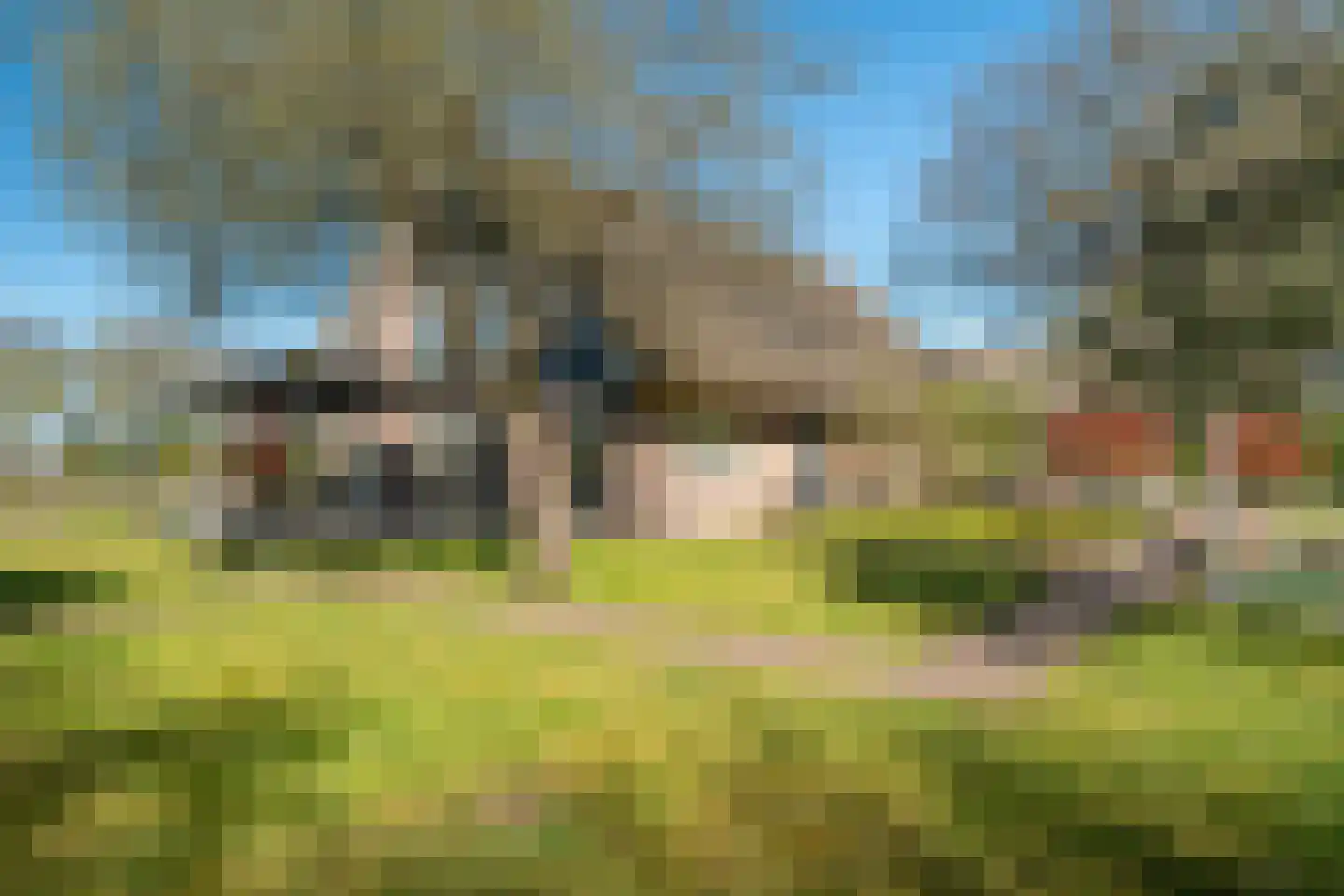 Schapedrift 2 Zeegse thumbnail 13
