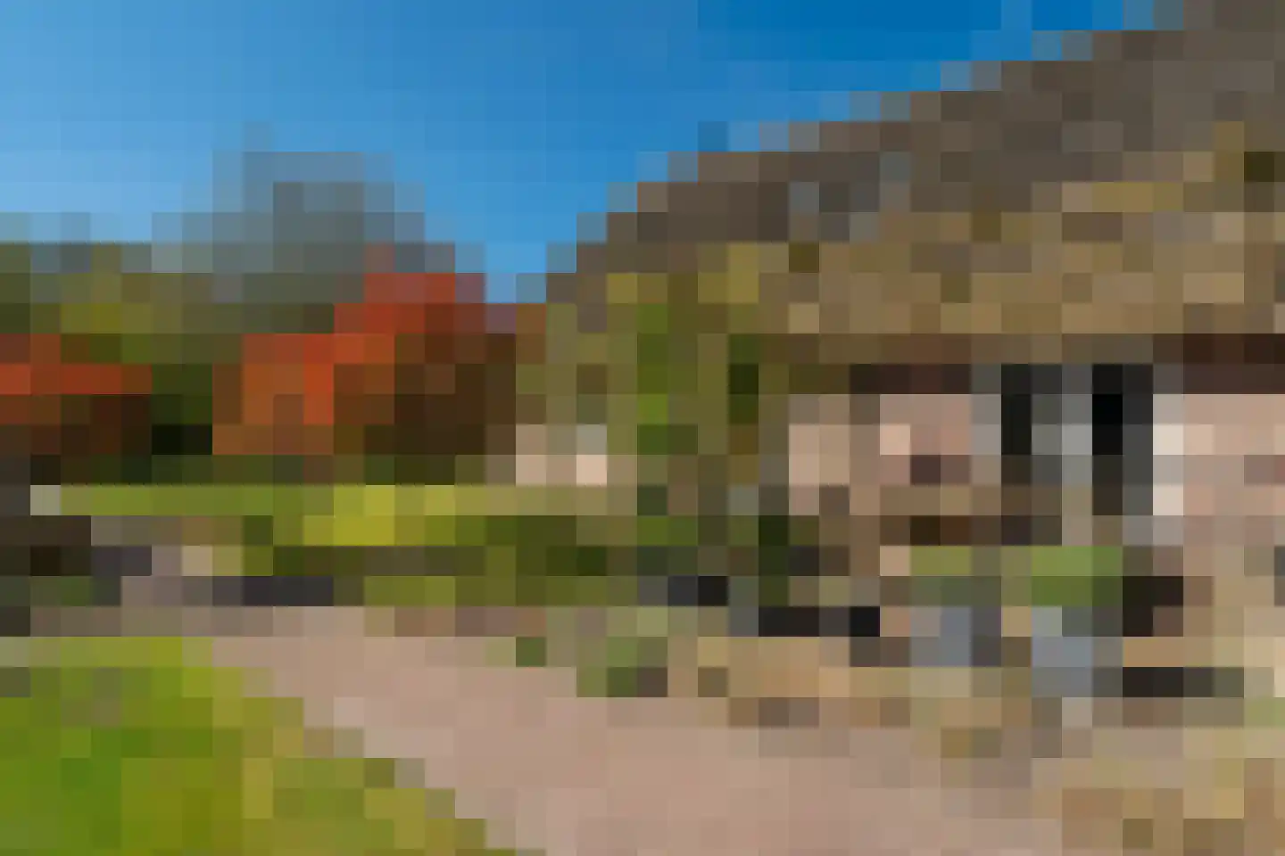 Schapedrift 2 Zeegse thumbnail 14